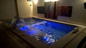 Costruzione piscine coperta Torino 01