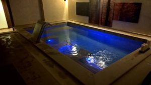 Costruzione piscine coperta Torino 04