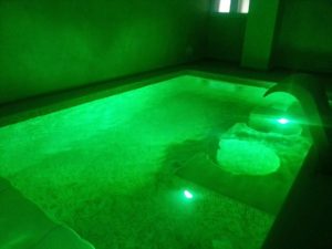 Costruzione piscine coperta Torino 06