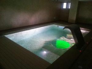 Costruzione piscine coperta Torino 08