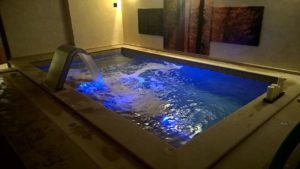Costruzione piscine coperta Torino 11